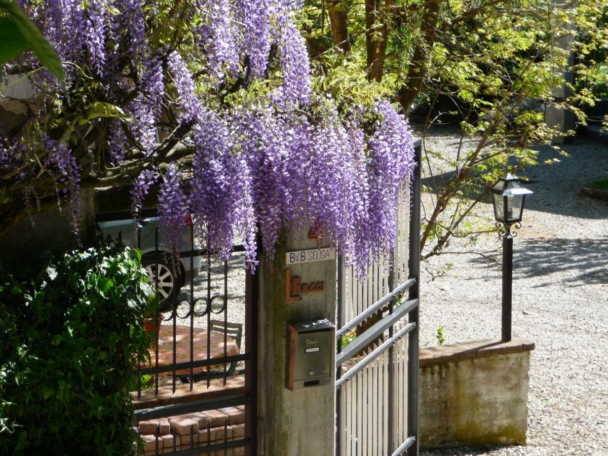 B&B Selisa Bene Vagienna Bagian luar foto